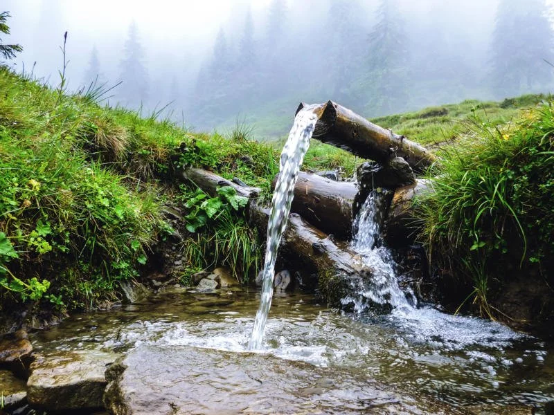 Bach fließend durch ein grünes Feld