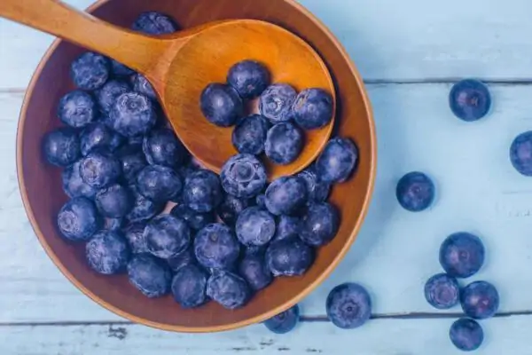 Die Heidelbeere gilt als Superfood