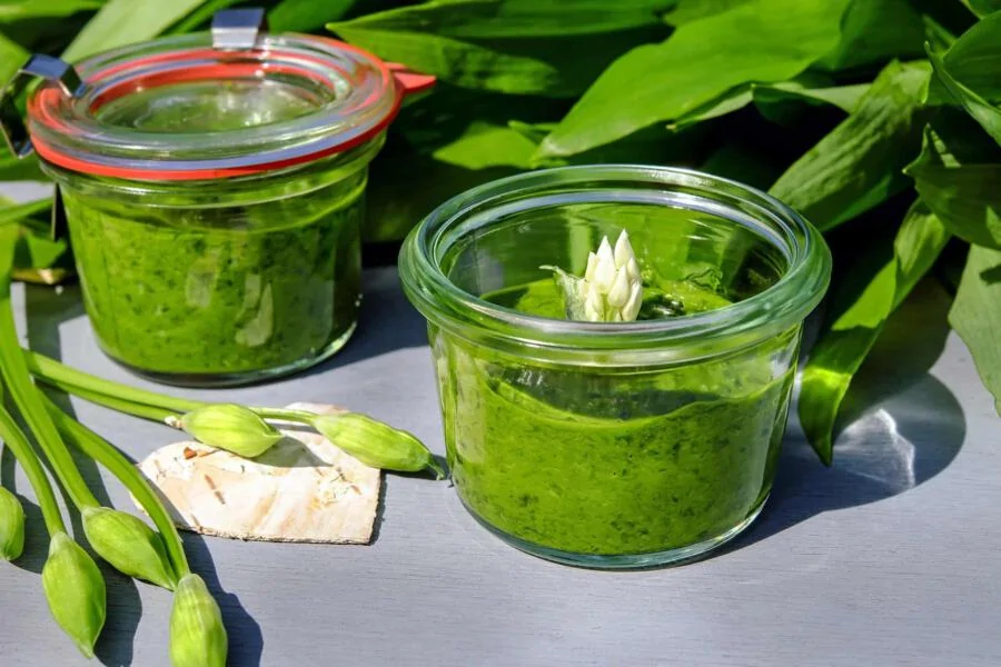 Frühlings-Superfood Bärlauch